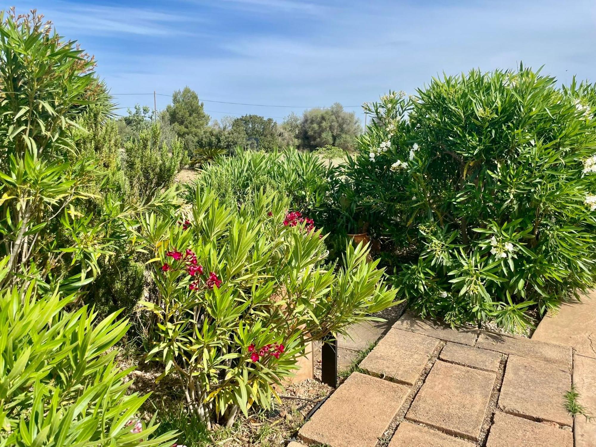 Villa Alba Llucmajor (Mallorca)